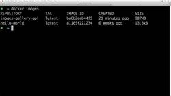 The Complete Practical Docker Guide - Running API Containers Based on the Built Docker Image Instructional Video