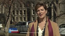 Where's the diversity data? News Clip