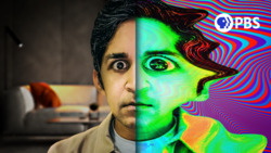 Can Psilocybin or MDMA Treat Depression and Anxiety? Instructional Video