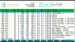Linux Administration Bootcamp: Go from Beginner to Advanced - Processes and Job Control Instructional Video