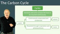 The Carbon The Carbon Cycle: Understanding How Essential Elements are Recycled and Reused Instructional Video