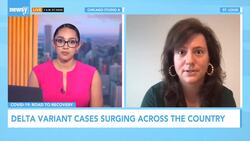 Missouri Grapples With Delta Variant Surge News Clip