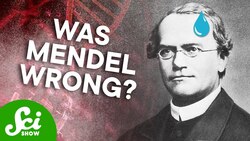 The 3 Species That Break Genetics Instructional Video