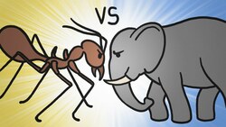 Is Bigger Better? Instructional Video