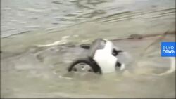 French teen dies and several are likely missing after bridge collapse News Clip