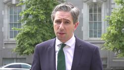 Taoiseach says people must stop 'dehumanising' opponents in wake of Trump assassination attempt News Clip