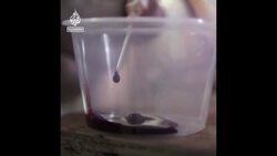 Filipino artist paints with his own blood News Clip