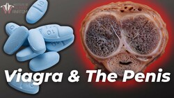 How Viagra Works: Mechanism, Dosage, and Side Effects Instructional Video