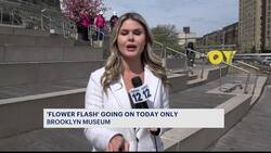 Brooklyn residents flock to Brooklyn Museum for pop-up 'Flower Flash' News Clip