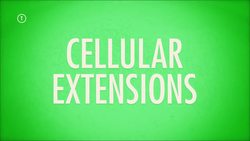 The Integumentary System, Part 1 - Skin Deep: Crash Course A&P Instructional Video