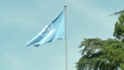 New figures show 18 million new cases of cancer this year News Clip