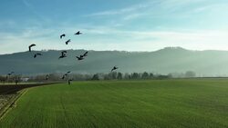 Drone Explores Our Planet's Natural Majesty, Pt.1 Instructional Video