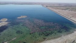CLEAN : Drought dries up rivers and dams in northeastern Syria News Clip