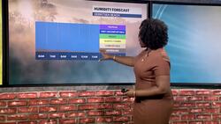 Warm temperatures and mostly sunny skies in Brooklyn News Clip