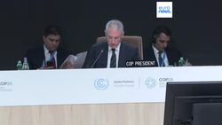 Baku's COP29 legacy: a new era in climate finance or too little, too late? News Clip
