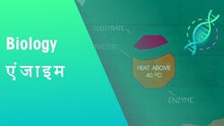 एंजाइम कैसे विकृत होते हैं | कोशिकाओं | जीवविज्ञान | FuseSchool Hindi Instructional Video