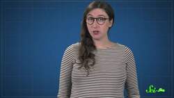 3 Ways We Could Transform the Future of Food Instructional Video