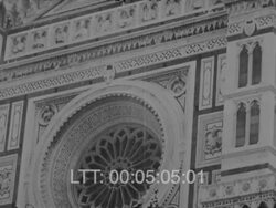 Eagle Footage 1950s Stock Footage