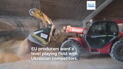 Farmers from Central & Eastern Europe protest in Brussels against Ukrainian grain imports News Clip