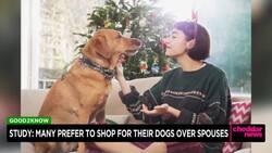 Study: Many Prefer to Shop For Their Dogs Over Spouses News Clip