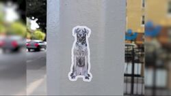 Greenpoint teacher turns grief into joy with custom pup stickers spotted around the borough News Clip