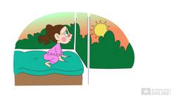 The Life Stage Series: Physical Development - Sophia's Super Skin Instructional Video