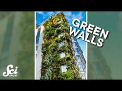 What do green walls really do? #shorts #science #SciShow Instructional Video