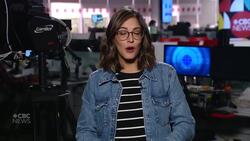 CBC Calgary Headline News Oct. 20: Election Day, teachers’ strike & bird flu in Calgary News Clip