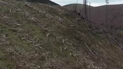 Stock environment footage as IPCC Climate Report released News Clip