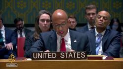 US vetoes truce resolution: Draft UN resolution to stop fighting shot down News Clip