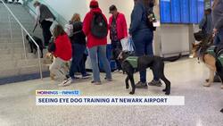 Hundreds of puppies train as Seeing Eye dogs at Newark Liberty International Airport News Clip