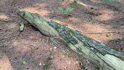 Chemical Reactions Instructional Video