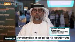OPEC Aims to Ensure 'Affordable' Supply: UAE Energy Min. News Clip
