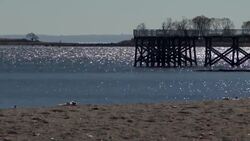 New report reveals grades for water quality at beaches on Long Island Sound News Clip