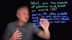 How to Write an Essay: The Complete Step by Step Guide for Beginners Instructional Video