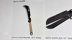 Machetes easy to buy online after some retailers ignore Manitoba's pleas News Clip