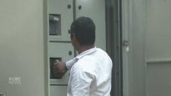 Smog tower reactivated in New Delhi News Clip