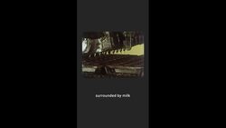 Discontinued Cherry Blossom treats resell for big bucks online News Clip