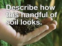 Soil and Rocks: What Is Soil? Instructional Video