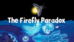 We Have No Idea Why Instructional Video