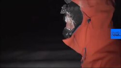 Meet the Moldovan athlete who ran 50km in freezing -60°C temperatures News Clip