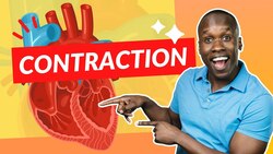 How the Heart Contracts - Step by Step Instructional Video