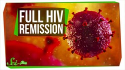The Second-Ever Case of Full HIV Remission | SciShow News Instructional Video