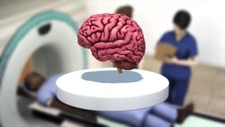 Playing video games linked to enhanced brain connectivity and increased gray matter, research shows Instructional Video