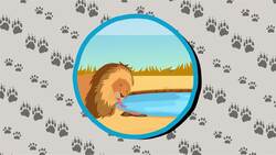 I WONDER - How Do Lions Stay Hydrated? Instructional Video