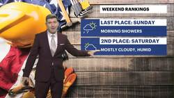 Pleasant conditions with mix of sun and clouds in the Bronx News Clip