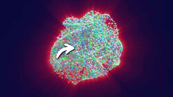 How Scientists Made the Hottest Thing Ever Instructional Video