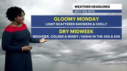 Cold temperatures, showers and cloudy skies in Brooklyn News Clip