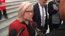 Lawmakers react to Pelosi's impeachment handling Instructional Video