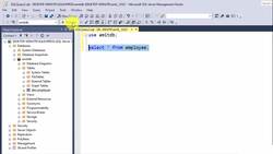 SQL Server Course for Beginners with 100+ examples - SELECT DISTINCT Statement in SQL Instructional Video